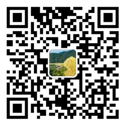 全民彩票在线登录